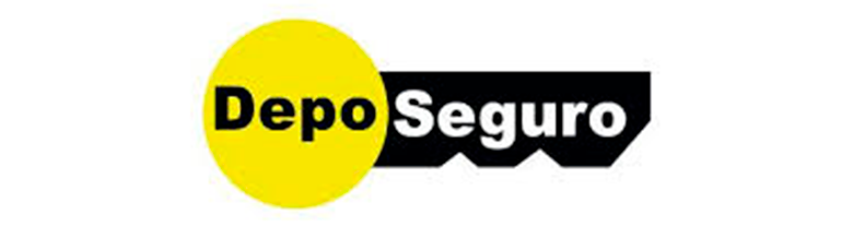 DEPO SEGURO